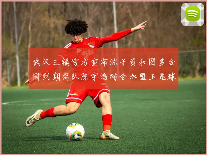 武汉三镇官方宣布沈子贵和图多合同到期离队陈宇浩转会加盟玉昆球队