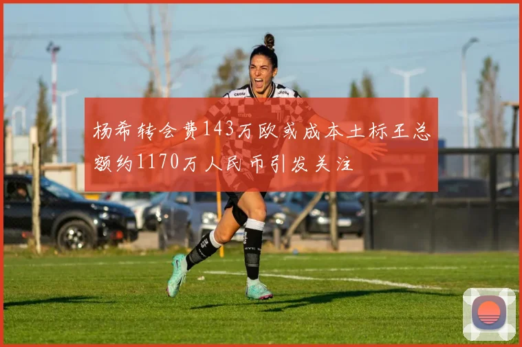 杨希转会费143万欧或成本土标王总额约1170万人民币引发关注