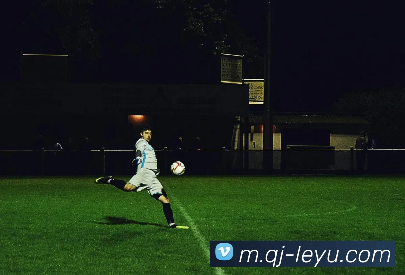 乐鱼体育平台生态图