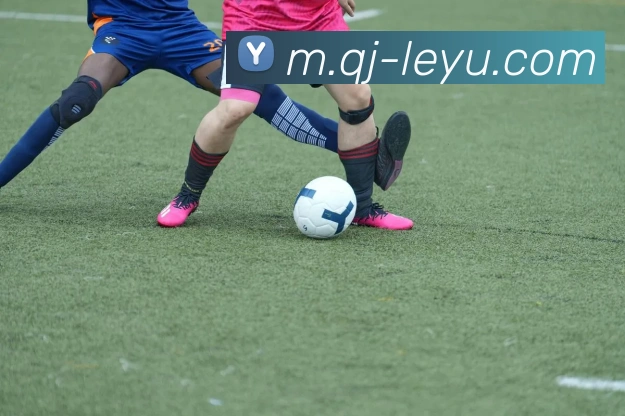 乐鱼体育全站App